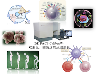 六宝典最新资料大全