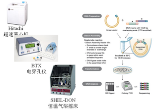 六宝典最新资料大全