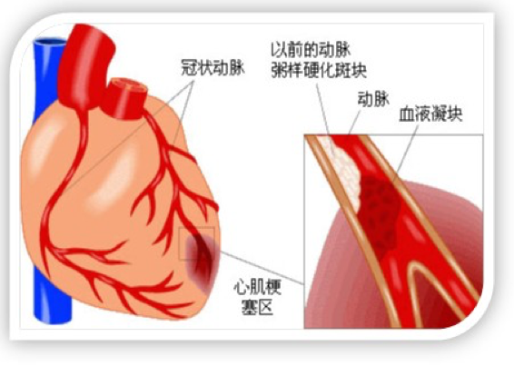 六宝典最新资料大全