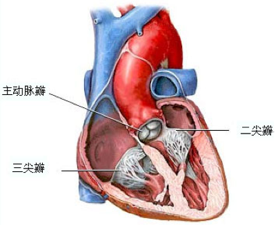 六宝典最新资料大全