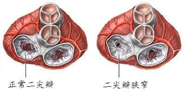 六宝典最新资料大全