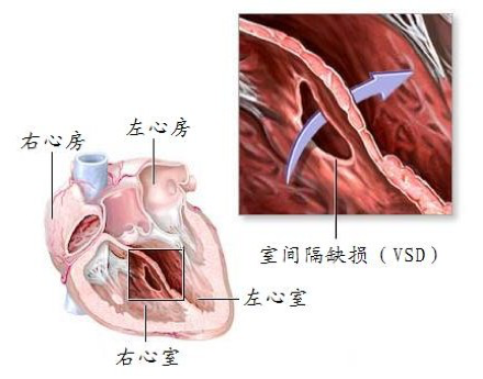 六宝典最新资料大全