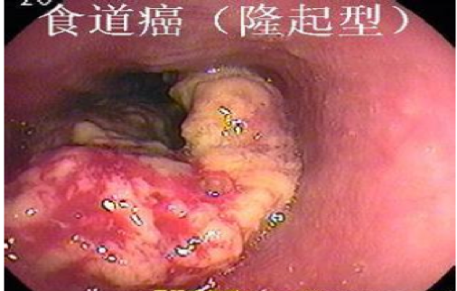 六宝典最新资料大全