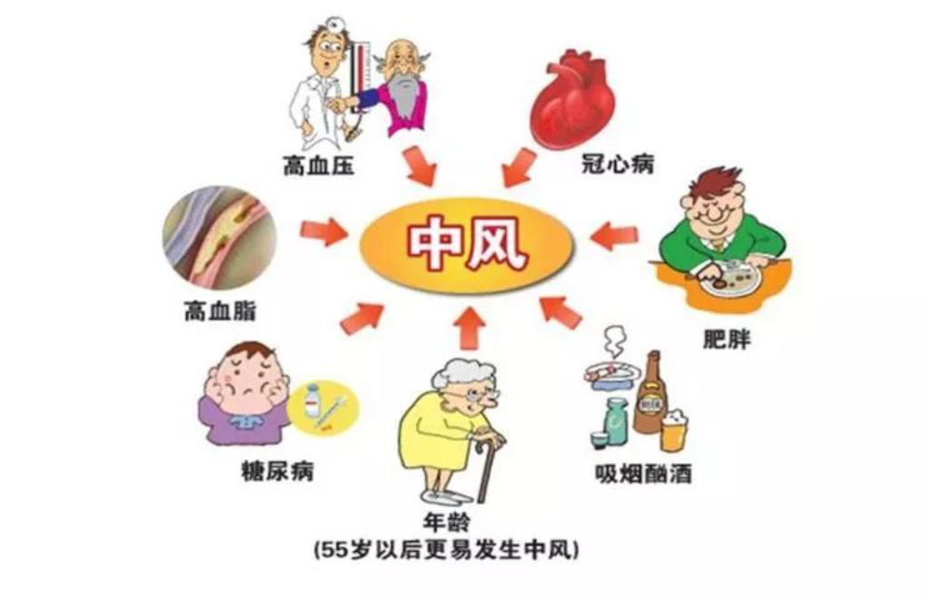 六宝典最新资料大全