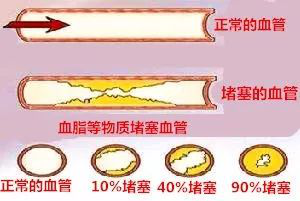 六宝典最新资料大全