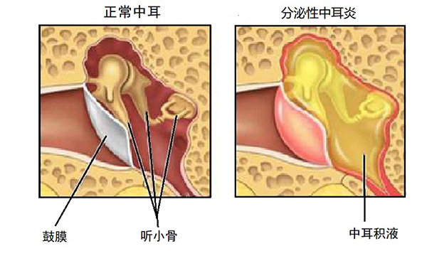 未标题-8.jpg