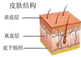 六宝典最新资料大全