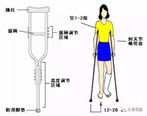 六宝典最新资料大全