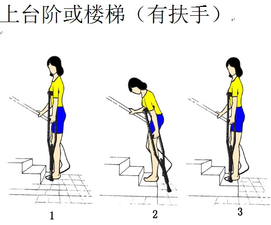 六宝典最新资料大全