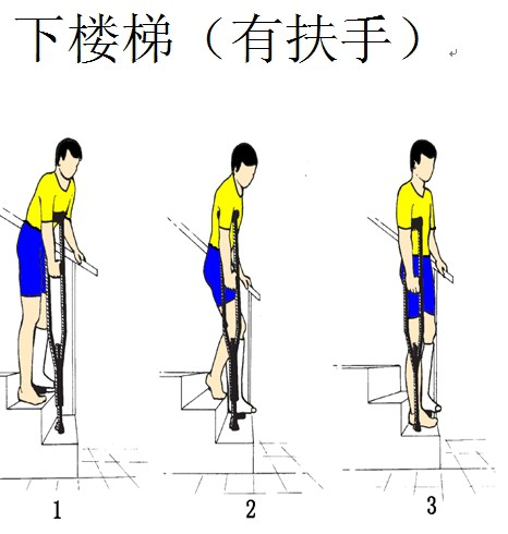 六宝典最新资料大全