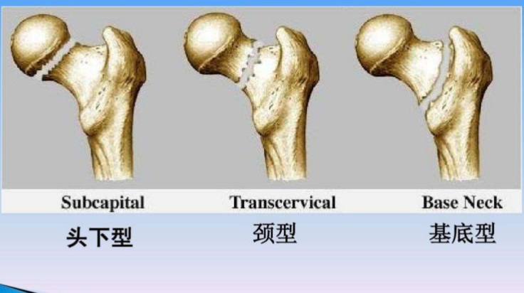 六宝典最新资料大全