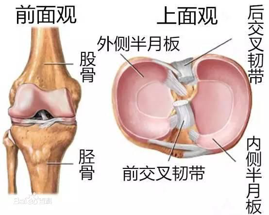 六宝典最新资料大全