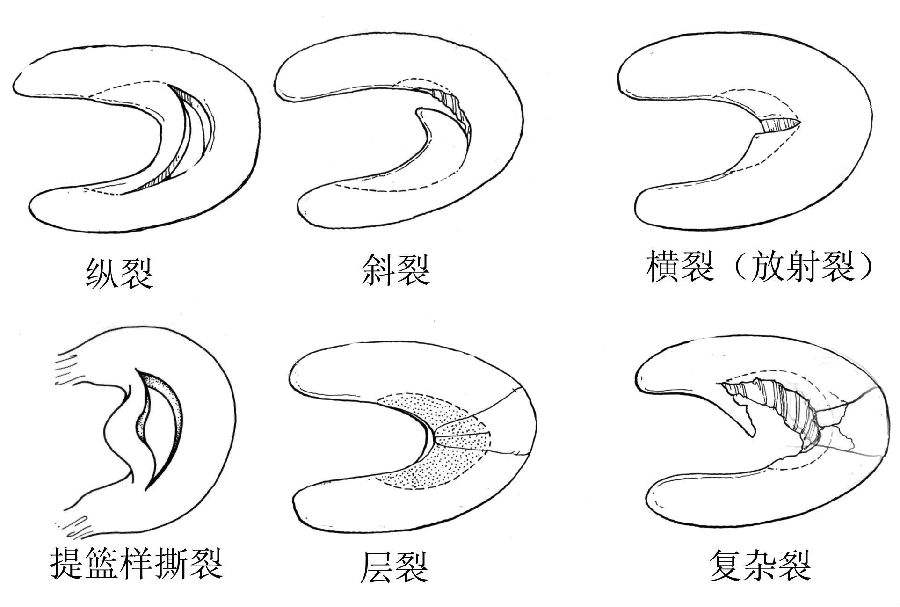 六宝典最新资料大全