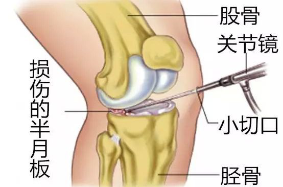 六宝典最新资料大全