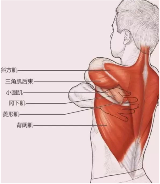 六宝典最新资料大全