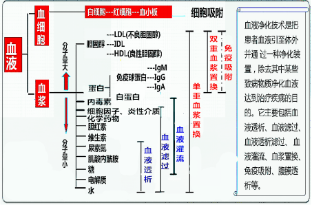 六宝典最新资料大全