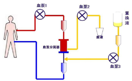 六宝典最新资料大全