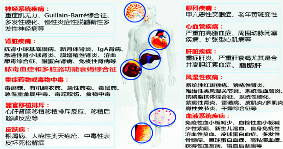 六宝典最新资料大全