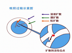 六宝典最新资料大全