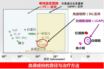 六宝典最新资料大全