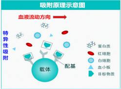 六宝典最新资料大全