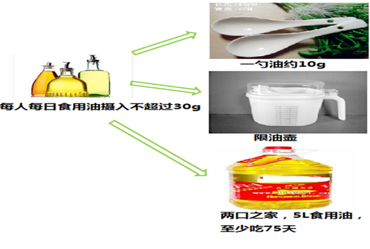 六宝典最新资料大全