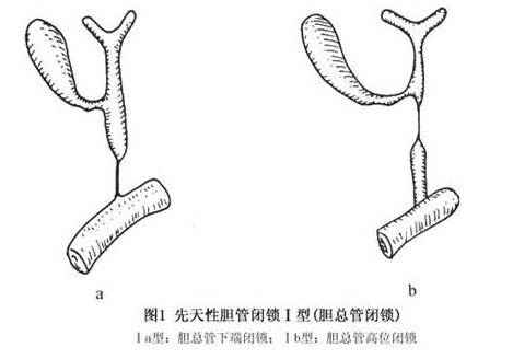 六宝典最新资料大全