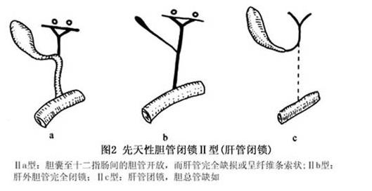 六宝典最新资料大全