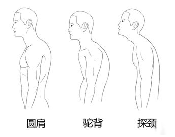 六宝典最新资料大全