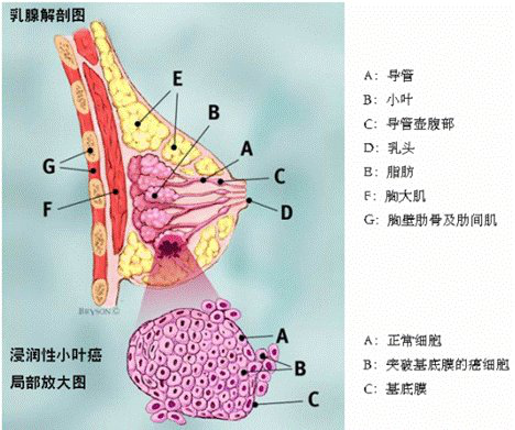 六宝典最新资料大全