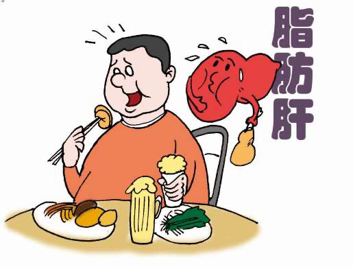 六宝典最新资料大全