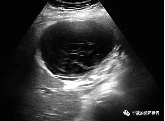 六宝典最新资料大全