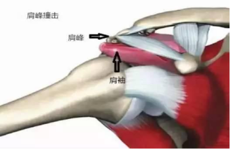 六宝典最新资料大全