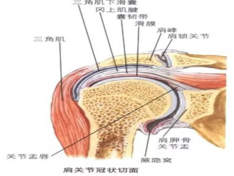 六宝典最新资料大全