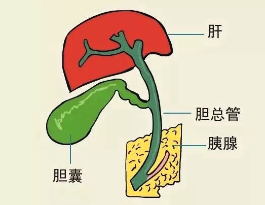 六宝典最新资料大全