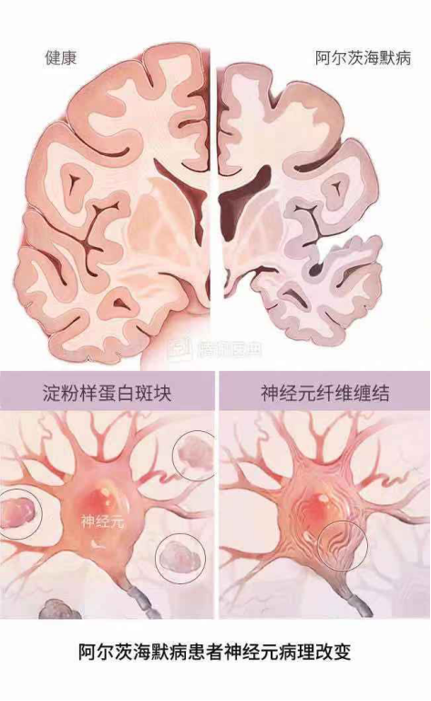 六宝典最新资料大全