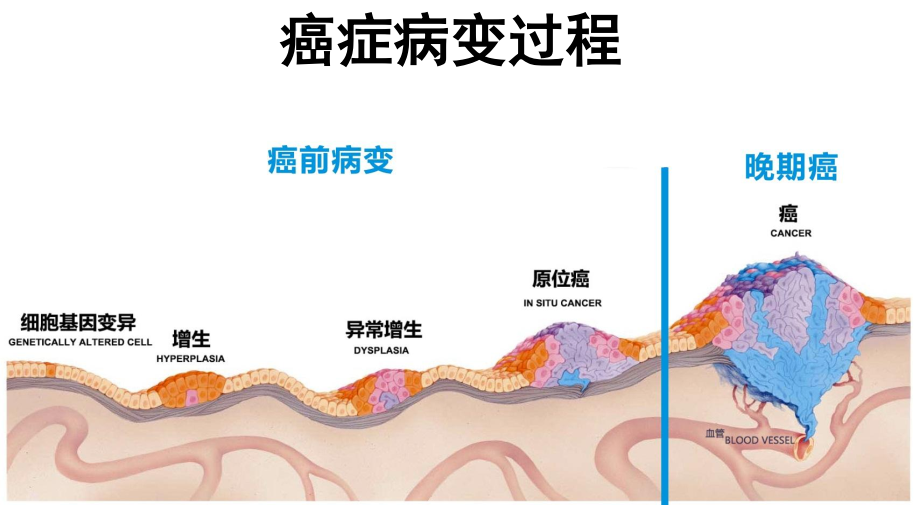 六宝典最新资料大全