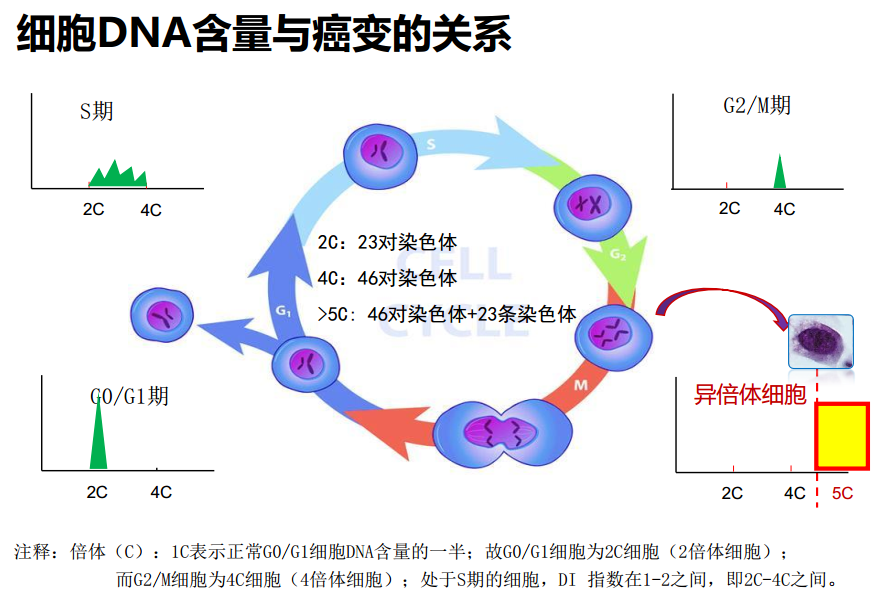 六宝典最新资料大全