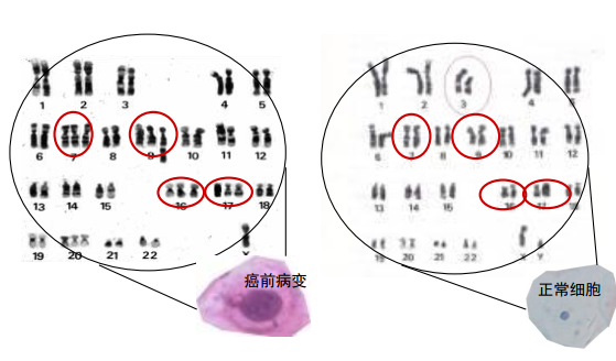 六宝典最新资料大全