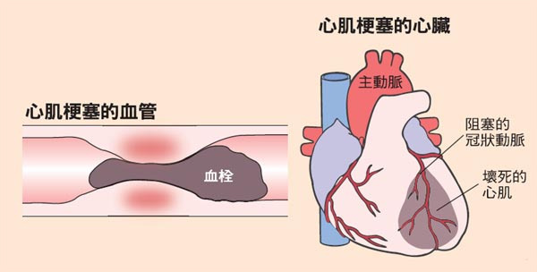 六宝典最新资料大全