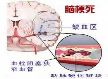 六宝典最新资料大全