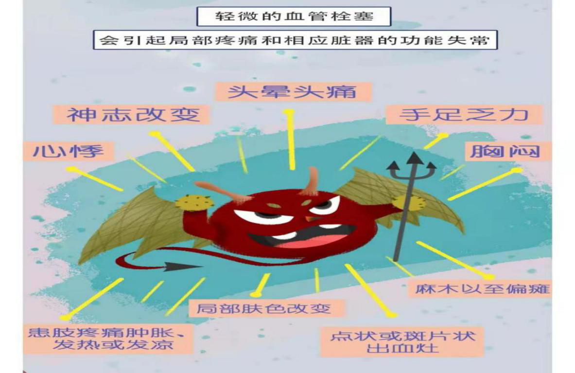 六宝典最新资料大全