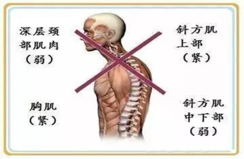 六宝典最新资料大全