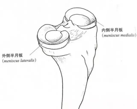 六宝典最新资料大全