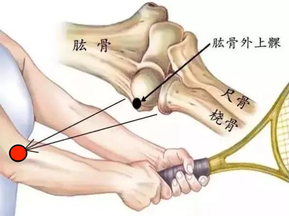 六宝典最新资料大全