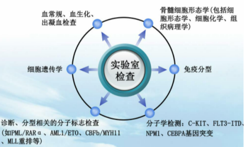 六宝典最新资料大全