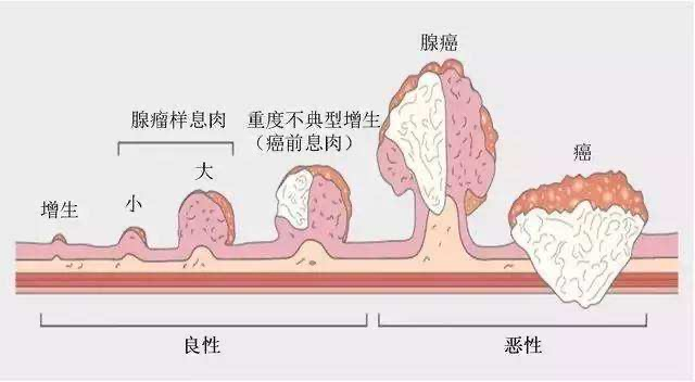 六宝典最新资料大全