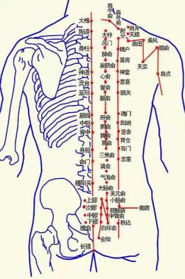 六宝典最新资料大全