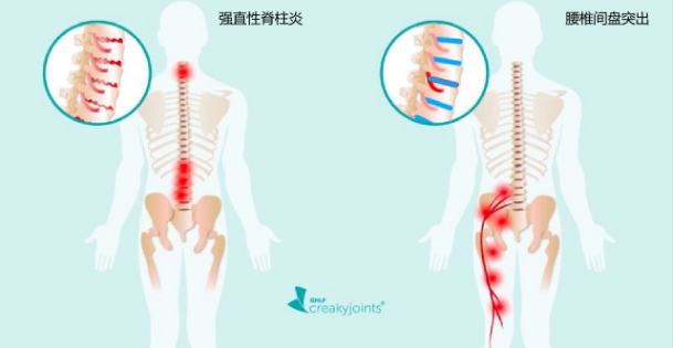 六宝典最新资料大全