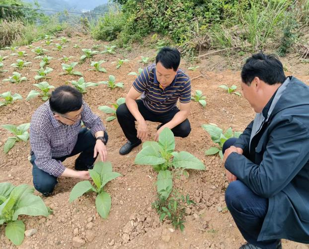 六宝典最新资料大全